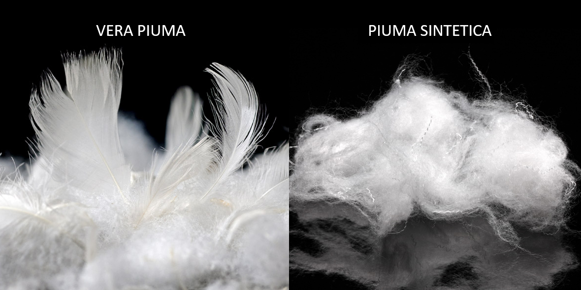 VERA PIUMA O PIUMA SINTETICA? ECCO LE DIFFERENZE